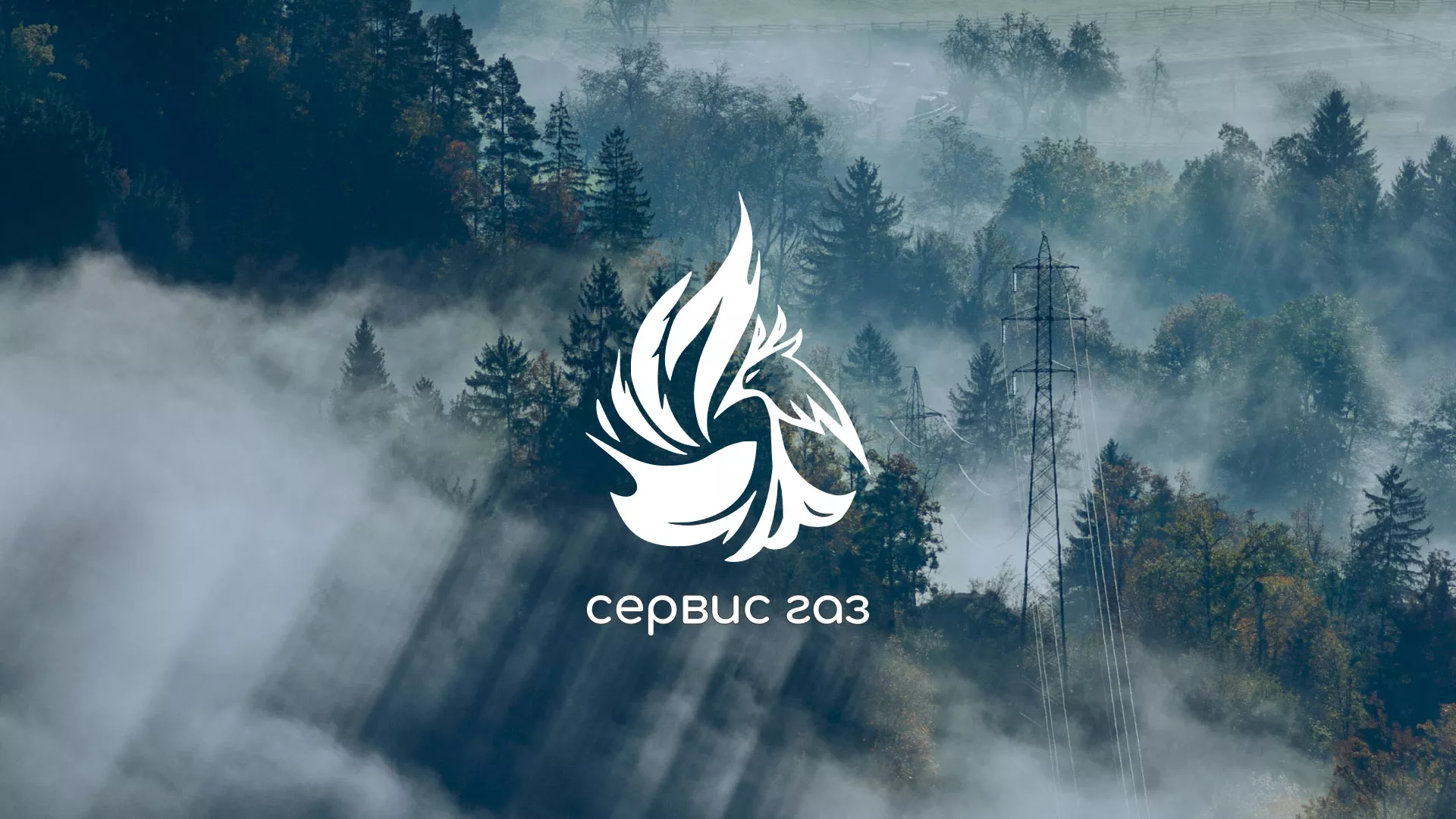 Создание сайта компании «Сервис газ» в Павловском Посаде