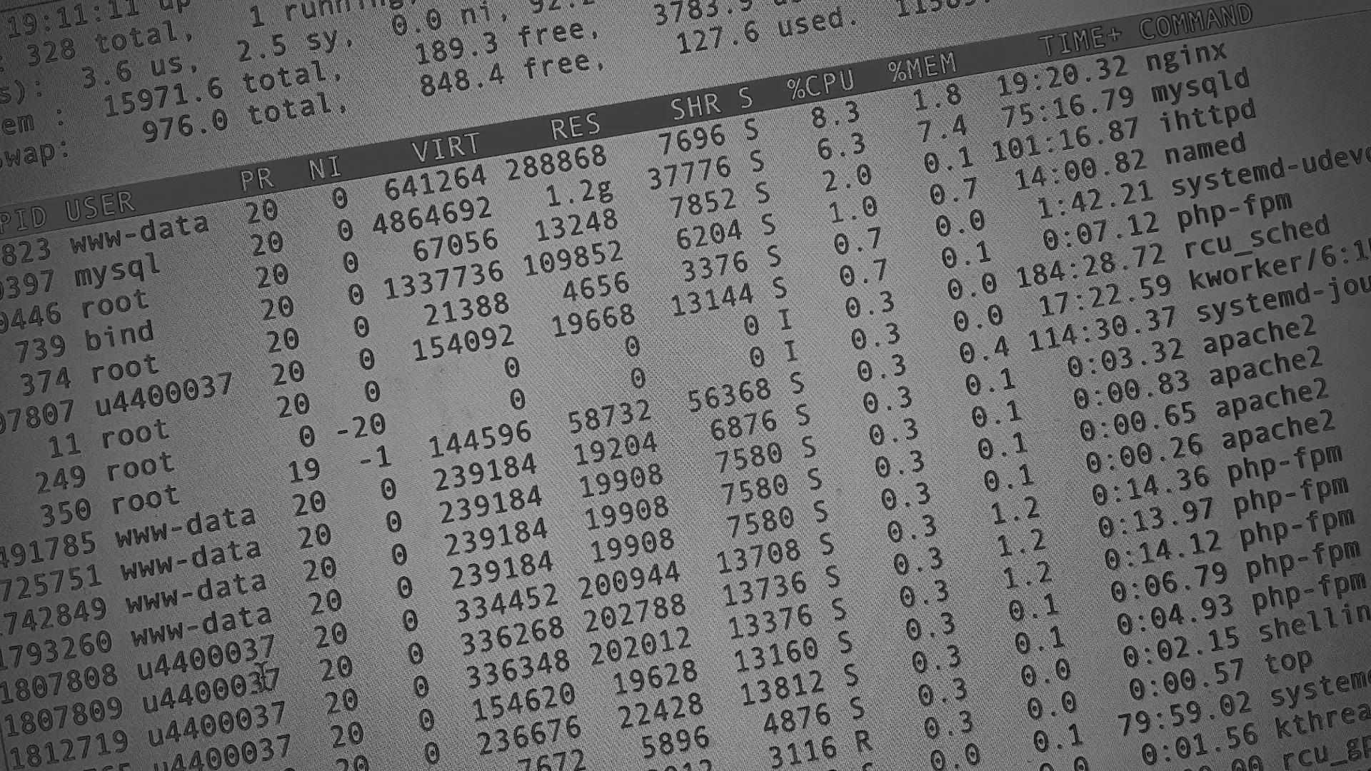 Настройка сервера в Павловском Посаде