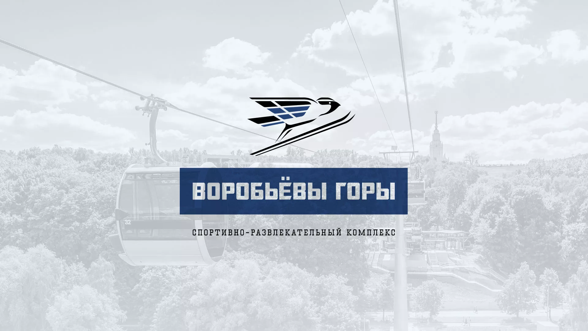 Разработка сайта в Павловском Посаде для спортивно-развлекательного комплекса «Воробьёвы горы»