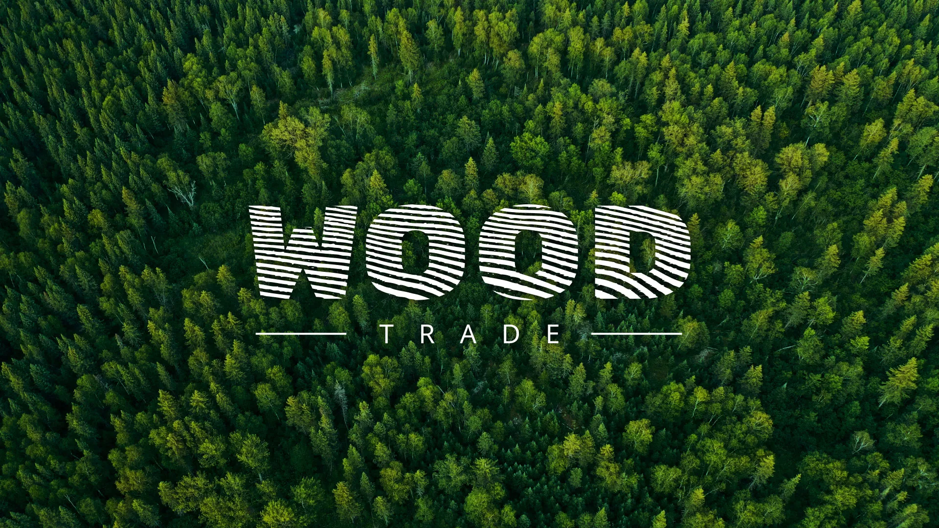 Разработка интернет-магазина компании «Wood Trade» в Павловском Посаде